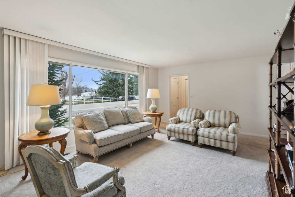 Living area with carpet flooring