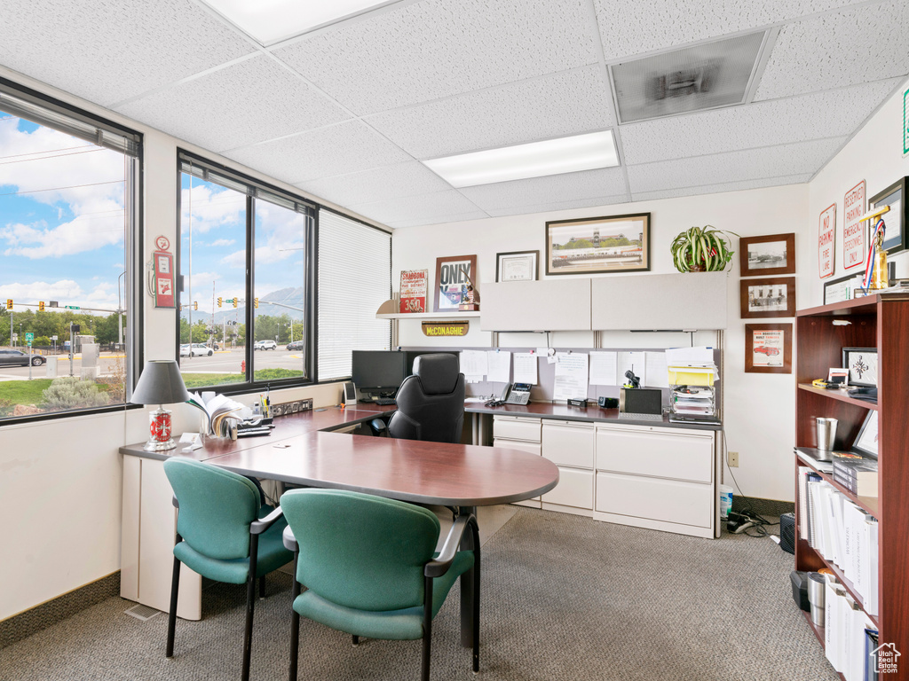 Carpeted office with baseboards and a drop ceiling