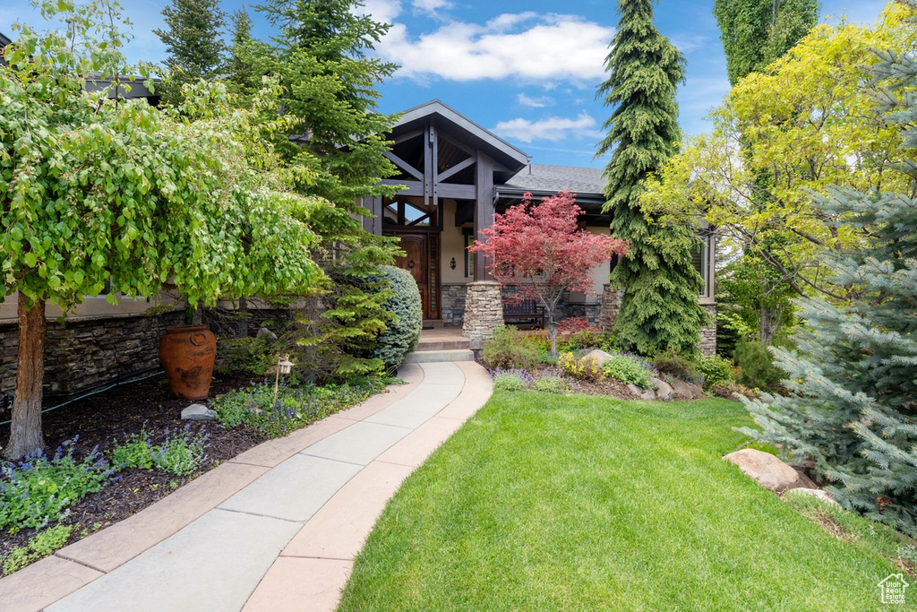 View of property hidden behind natural elements with a front lawn and stone siding