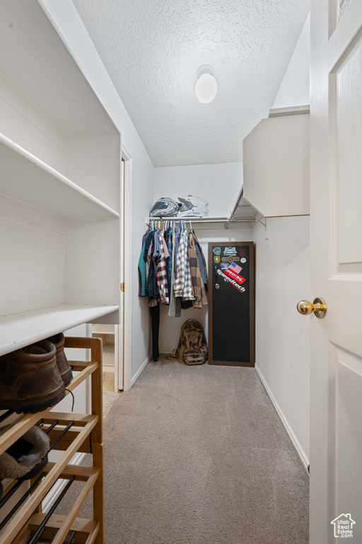 Spacious closet featuring carpet