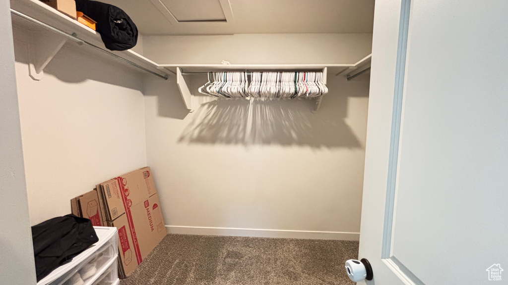 Spacious closet featuring attic access and carpet flooring