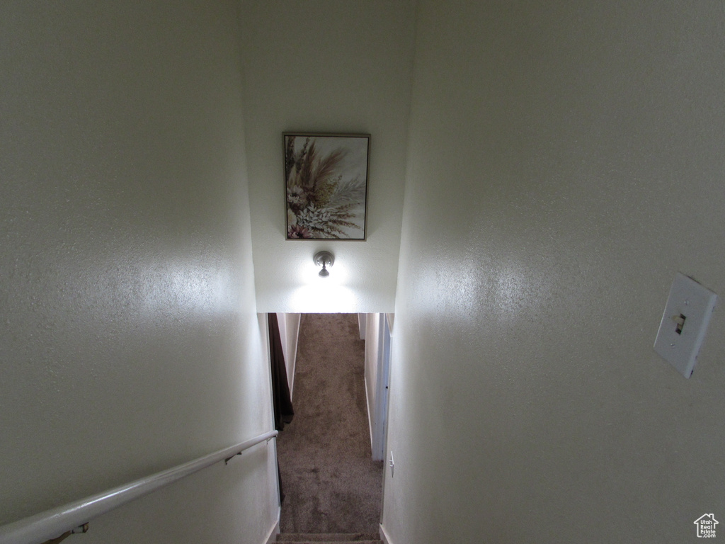 Staircase with carpet