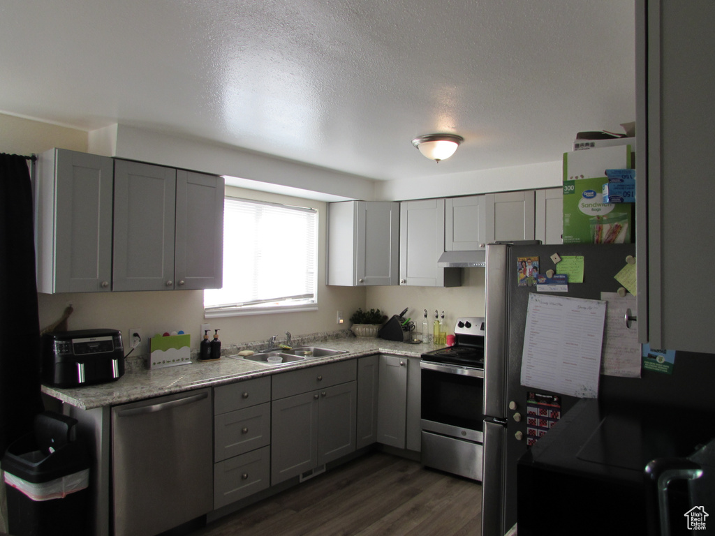Kitchen with a sink, gray cabinets, under cabinet range hood, and stainless steel appliances