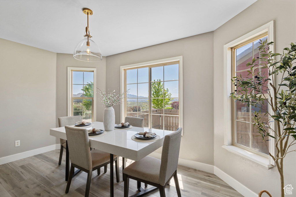Dining area with plenty of natural light, baseboards, and light wood-style flooring