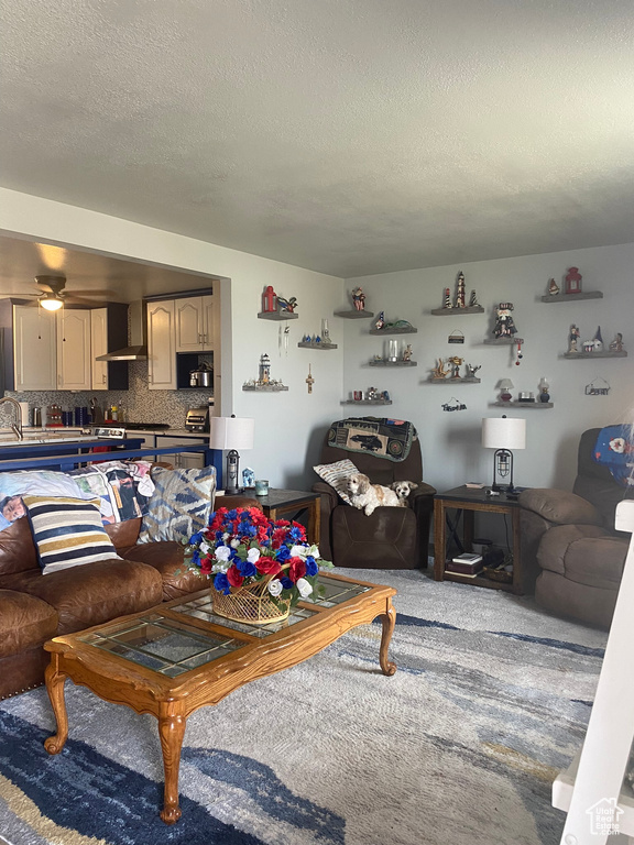 Carpeted living room with a ceiling fan and a textured ceiling