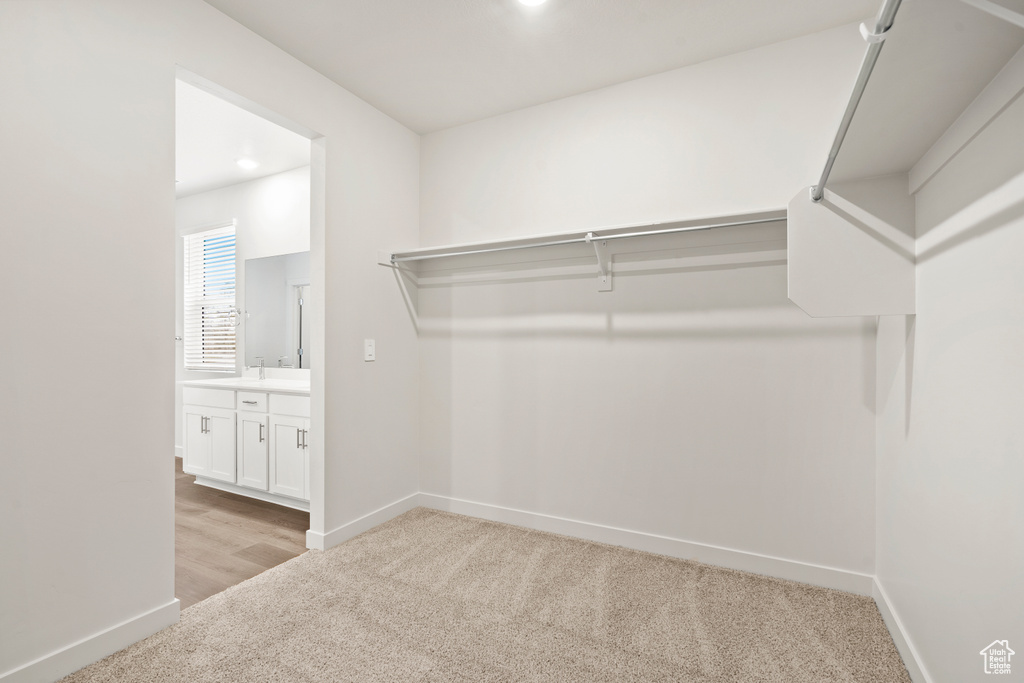 Spacious closet featuring light colored carpet and a sink