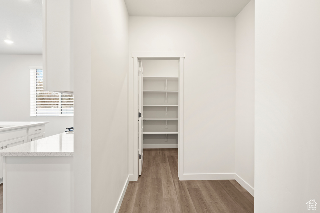 Walk in closet with light wood-type flooring