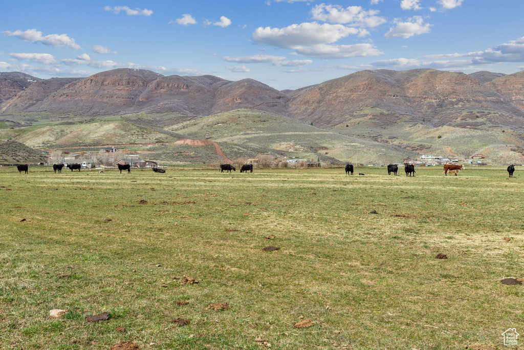 Mountain view with rural landscape and a pastoral area