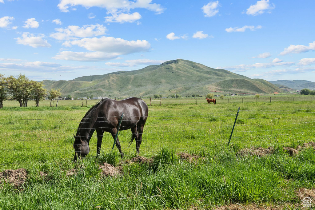 View of mountain background with rural landscape and a pastoral area