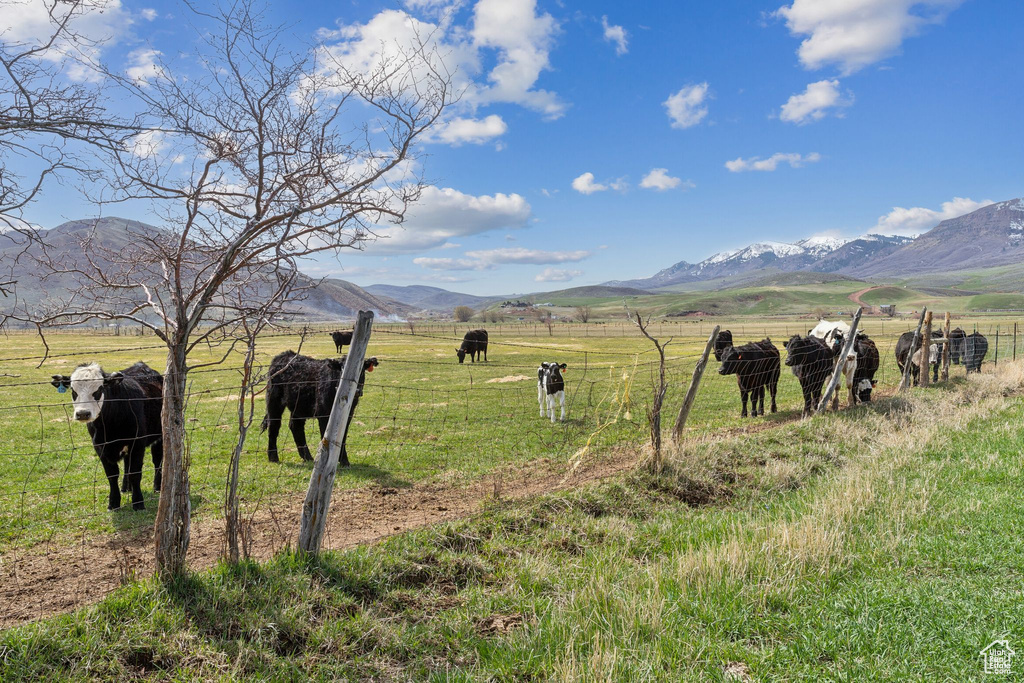 Mountain view featuring rural landscape and a pastoral area