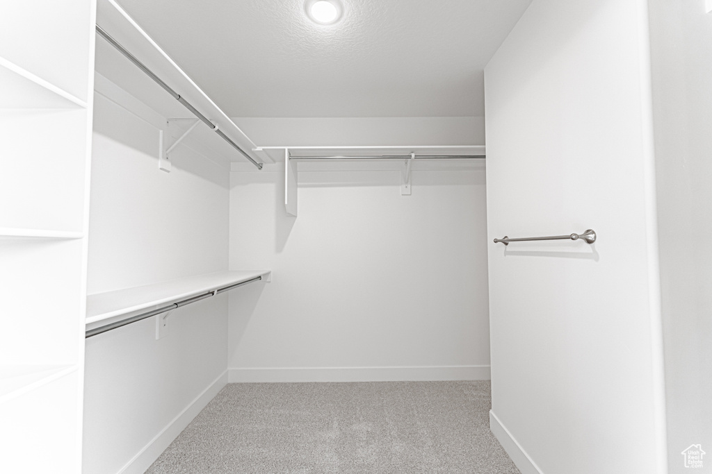 Spacious closet featuring carpet flooring