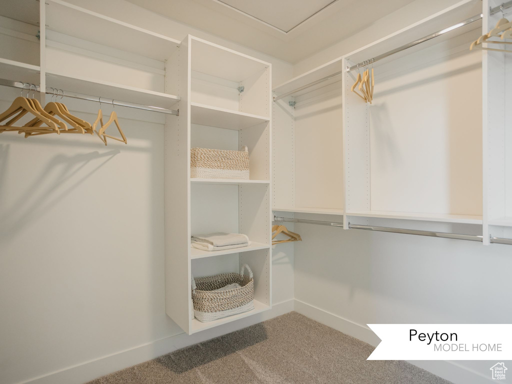 Walk in closet featuring carpet floors