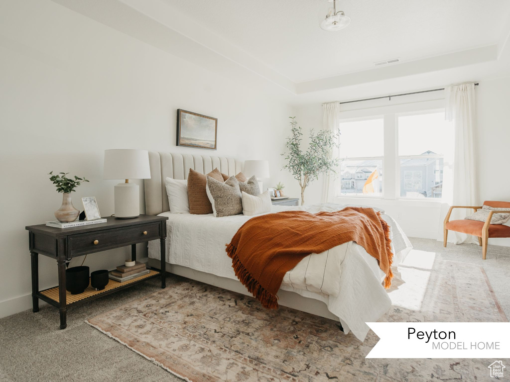 Carpeted bedroom with a tray ceiling, baseboards, and visible vents