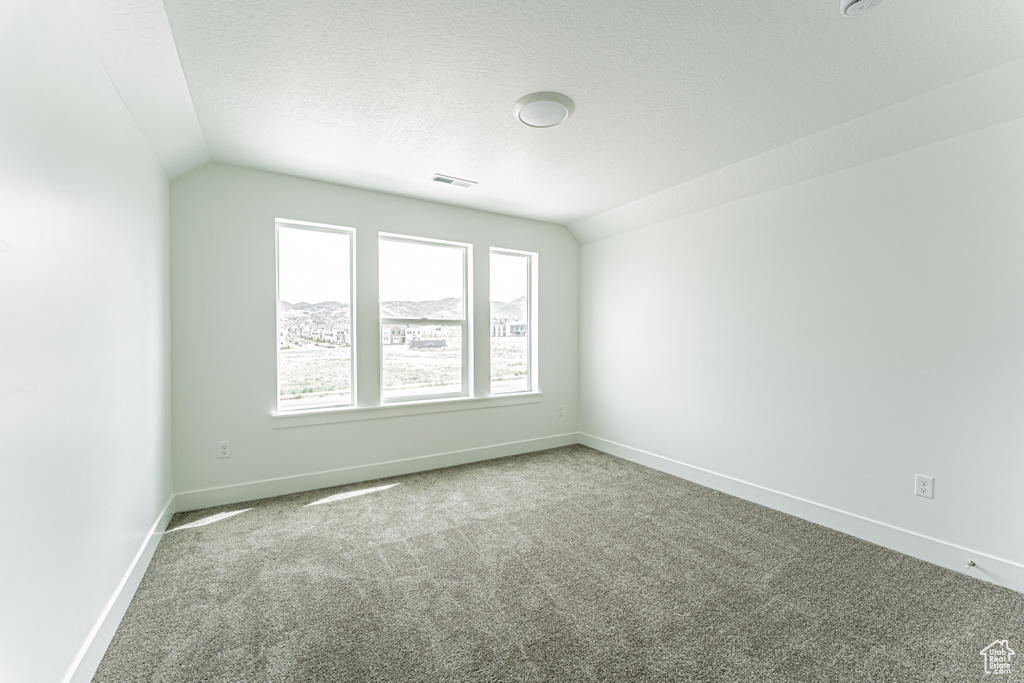 Unfurnished room featuring carpet flooring, a textured ceiling, and vaulted ceiling