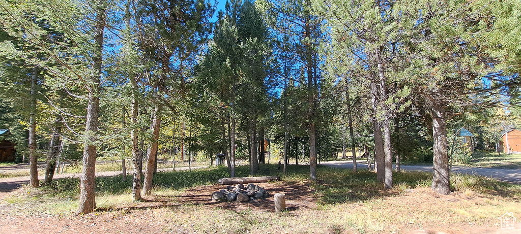 View of nature