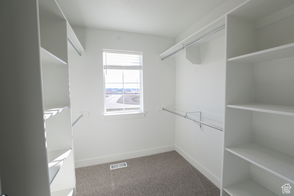 Spacious closet featuring visible vents and carpet