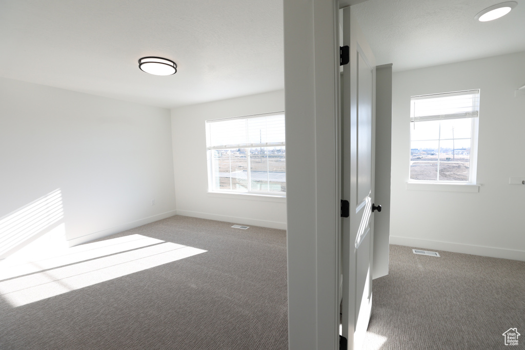 Empty room featuring carpet flooring, plenty of natural light, baseboards, and visible vents
