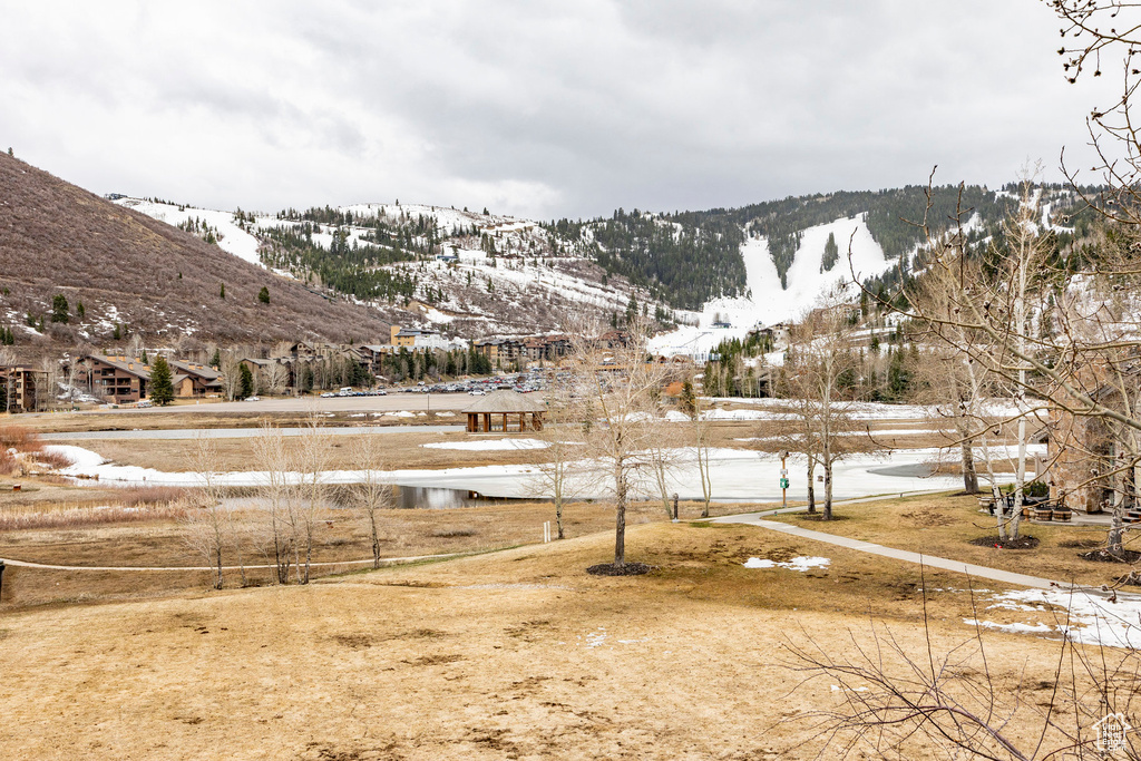 Snowy yard featuring a mountain view