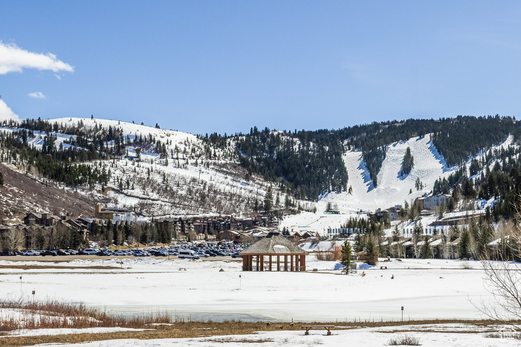 Mountain view
