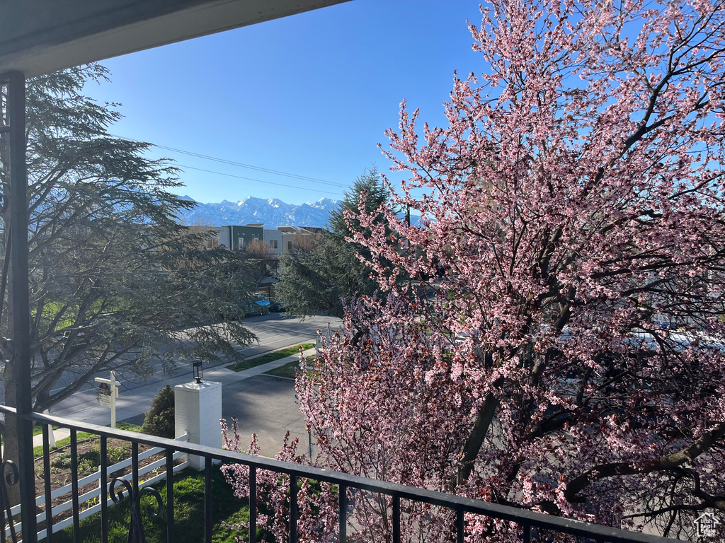 Mountain view