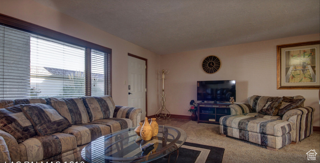Carpeted living area with baseboards and a textured ceiling