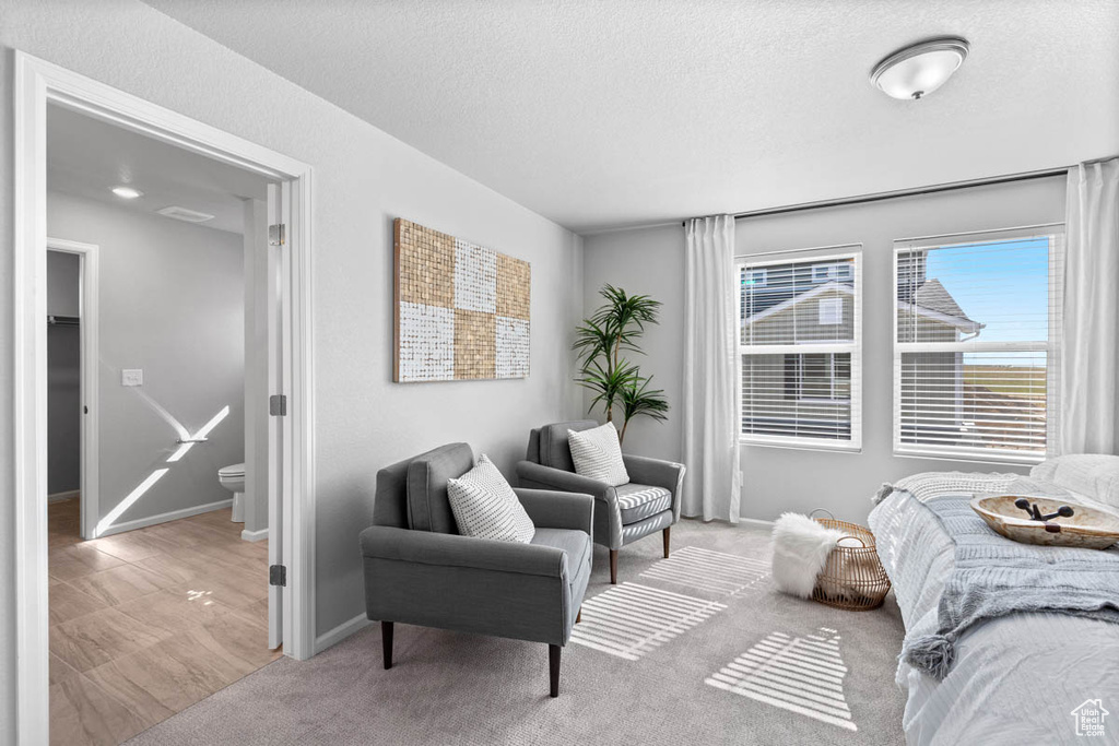 Living area with baseboards, a textured ceiling, and carpet