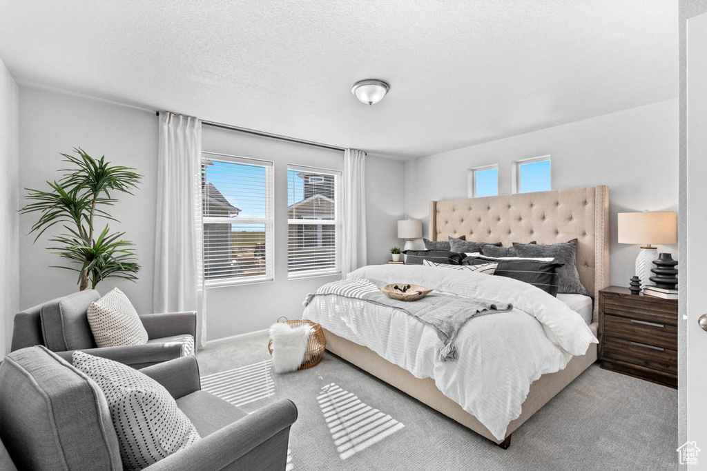 Bedroom featuring carpet flooring, multiple windows, and a textured ceiling