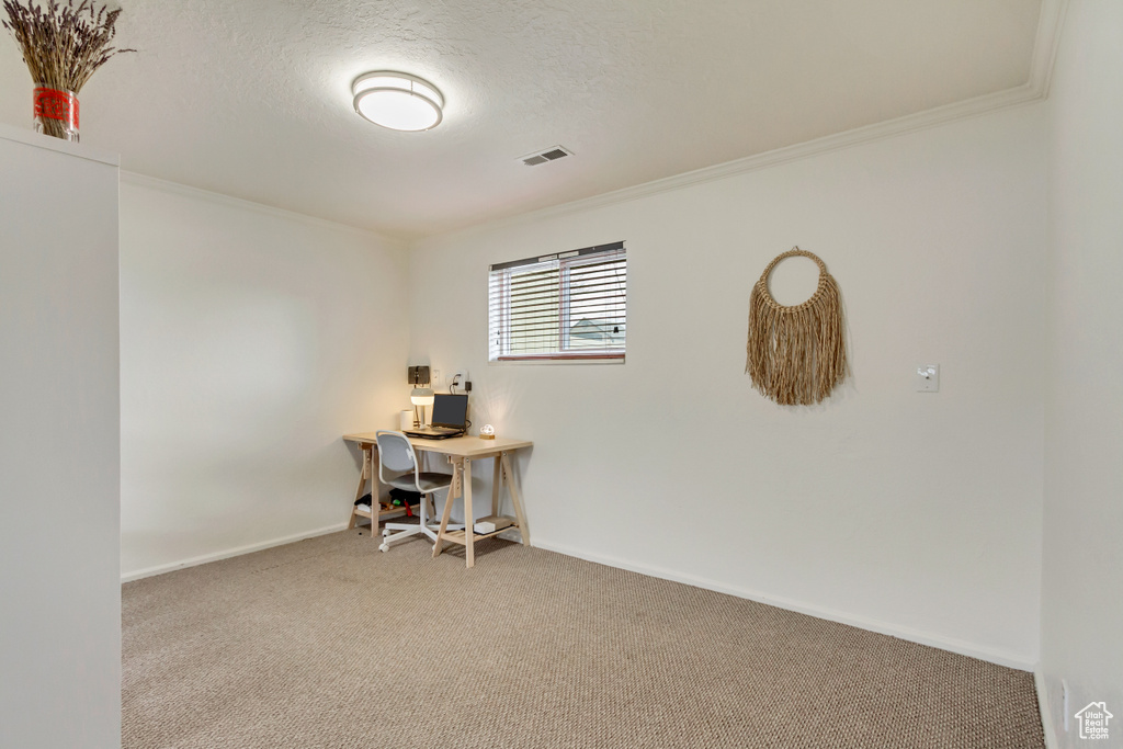 Carpeted office space featuring ornamental molding, a textured ceiling, baseboards, and visible vents