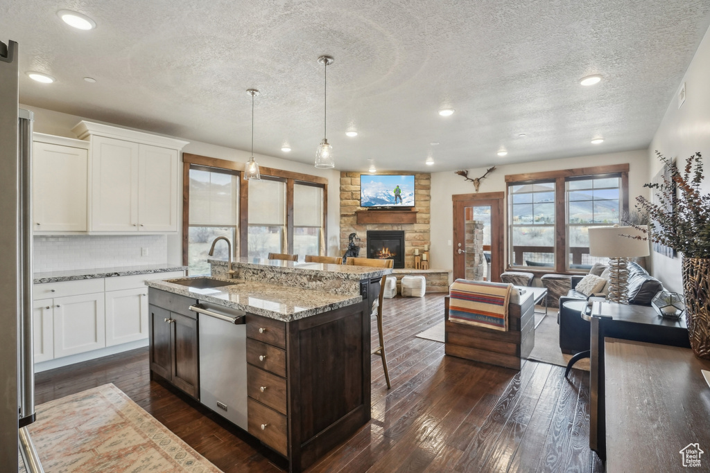 Kitchen with a sink, a fireplace, stainless steel dishwasher, dark wood finished floors, and open floor plan
