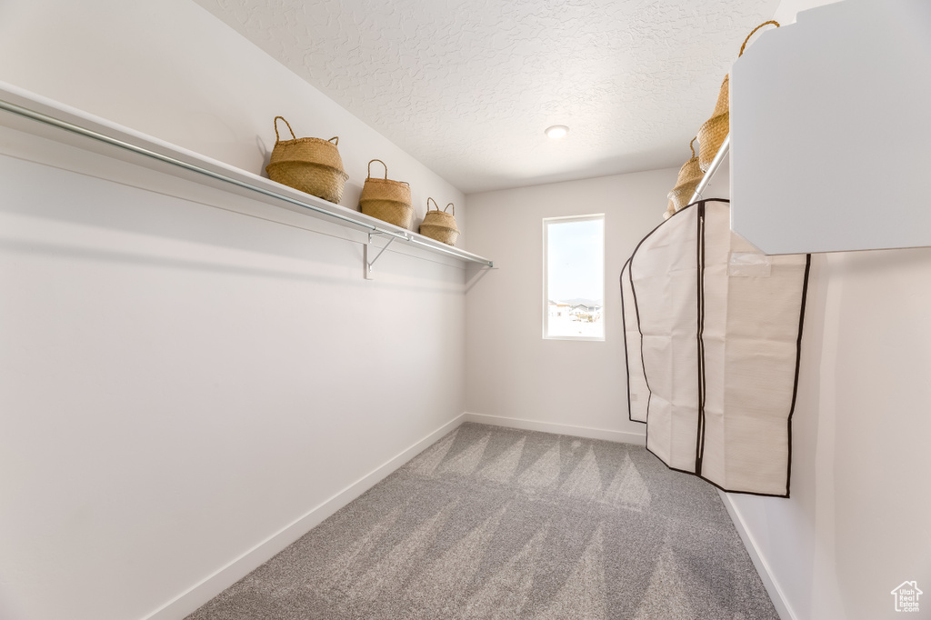 Walk in closet with light colored carpet