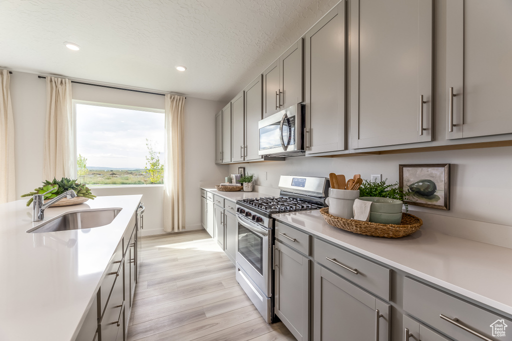 Kitchen with gray cabinetry, light countertops, a sink, and stainless steel appliances