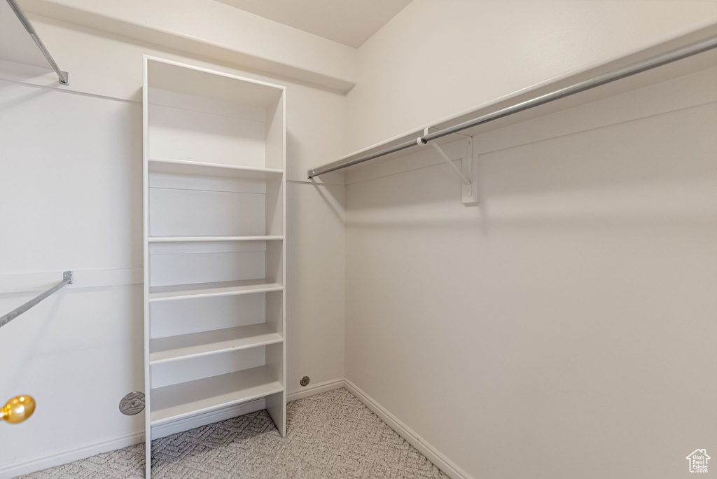 Spacious closet featuring carpet floors