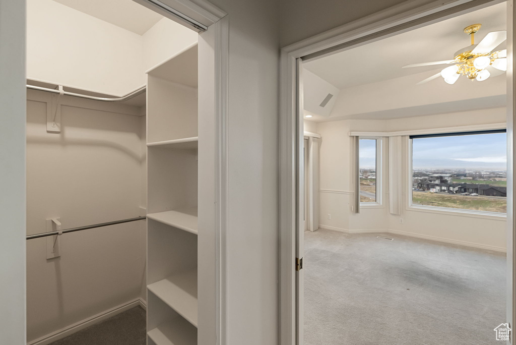 Spacious closet with carpet floors and a ceiling fan