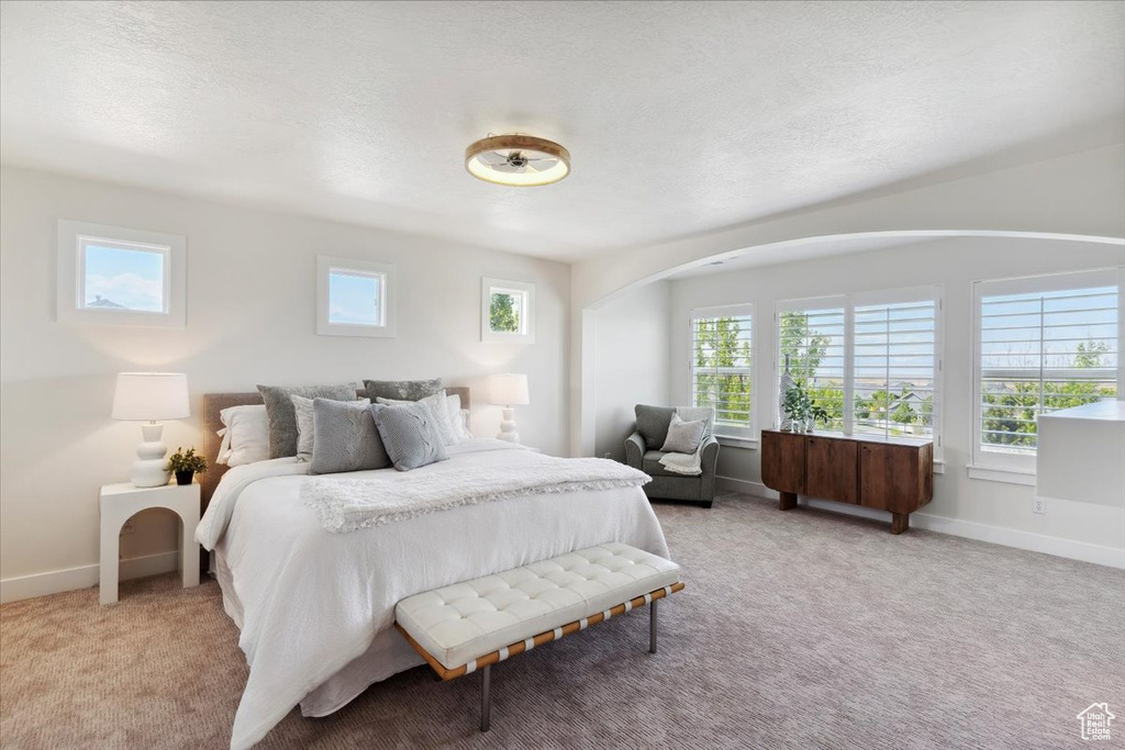 Bedroom featuring light colored carpet, arched walkways, baseboards, and a textured ceiling