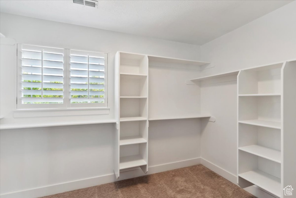 Walk in closet with carpet and visible vents