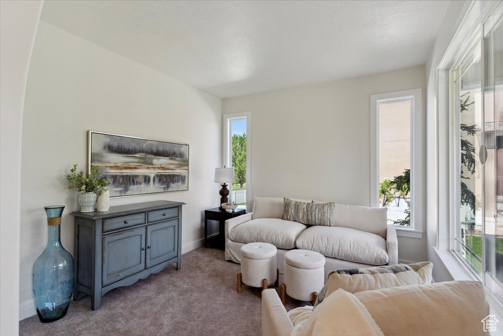 Living area with baseboards and carpet flooring