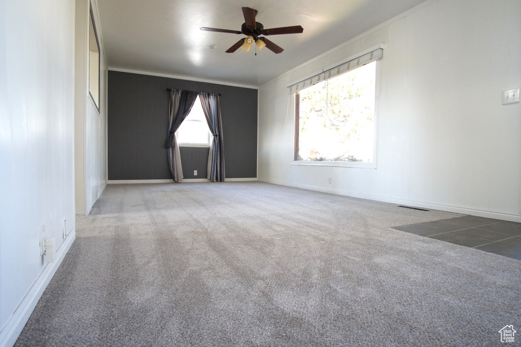Spare room featuring visible vents, baseboards, a ceiling fan, crown molding, and carpet flooring