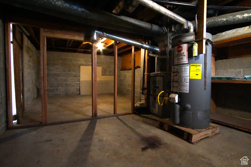 Unfinished below grade area with water heater