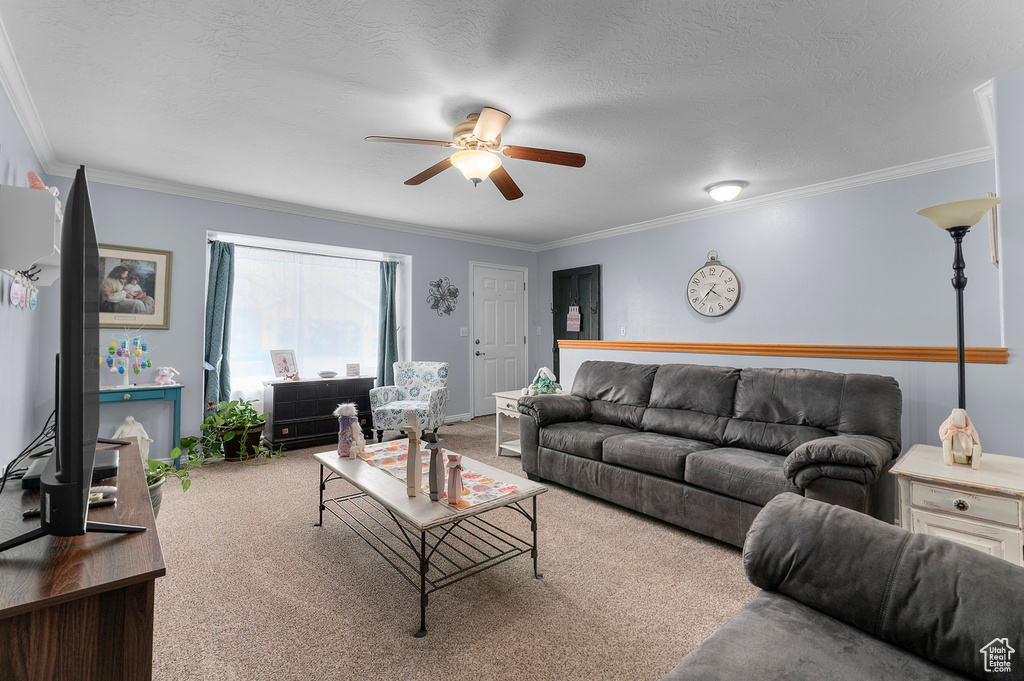 Living area featuring a textured ceiling, a ceiling fan, carpet, and ornamental molding