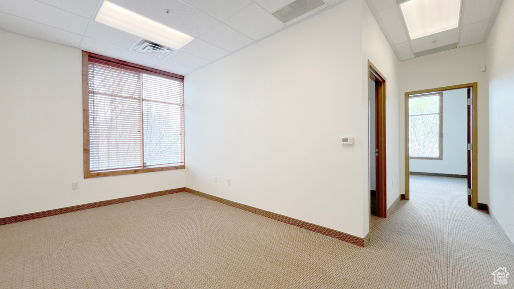 Empty room with baseboards, visible vents, light colored carpet, and a paneled ceiling