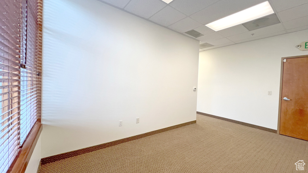 Empty room featuring carpet, baseboards, and a paneled ceiling