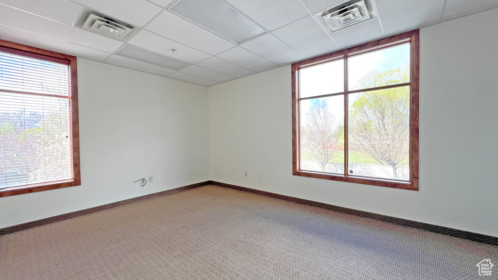 Empty room featuring baseboards, carpet floors, visible vents, and a drop ceiling