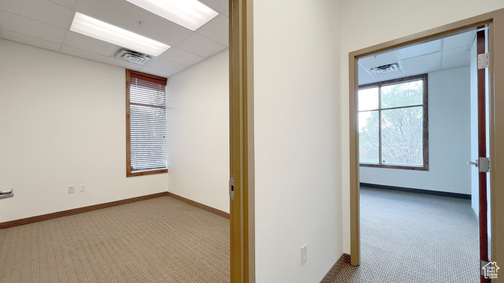 Interior space featuring a drop ceiling, carpet floors, and visible vents