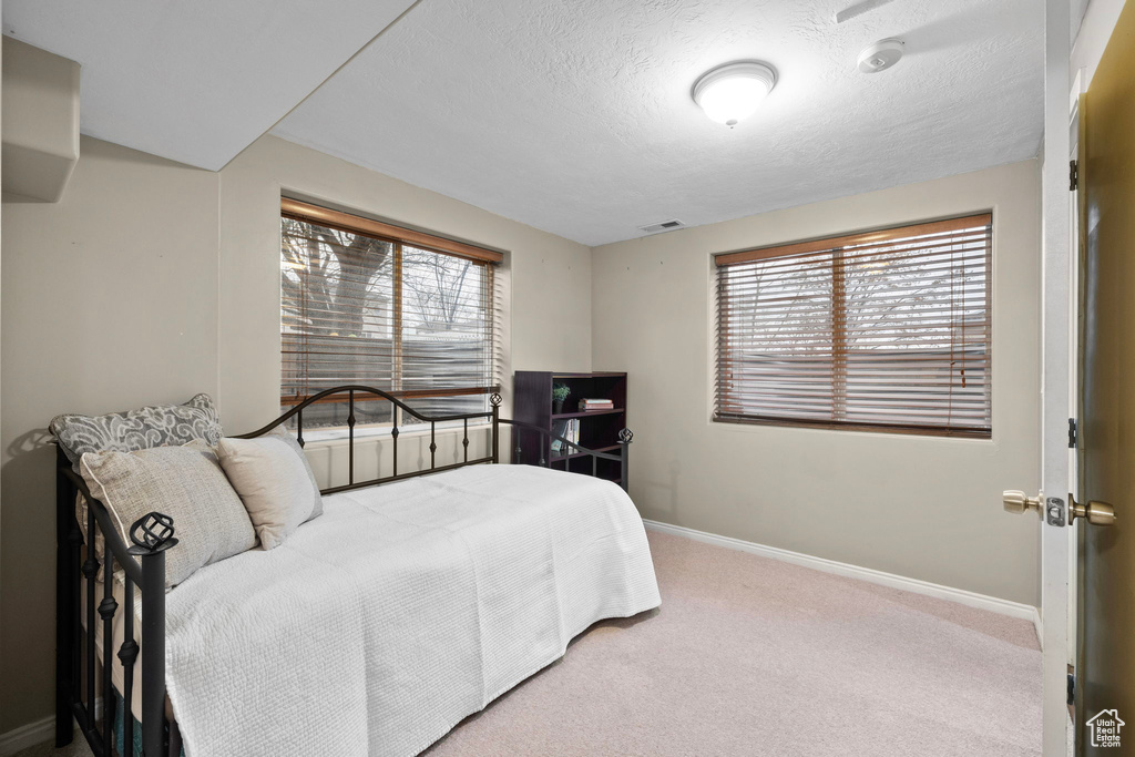 Bedroom featuring carpet floors, a textured ceiling, baseboards, and visible vents