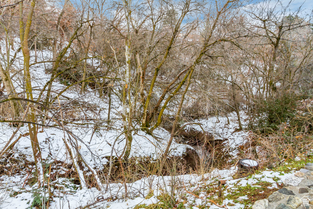 View of snowy landscape