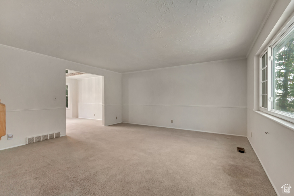 Unfurnished room with light colored carpet, visible vents, and a textured ceiling
