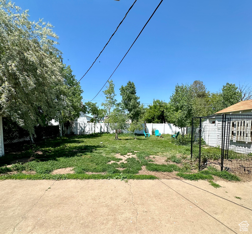 View of yard with a patio area