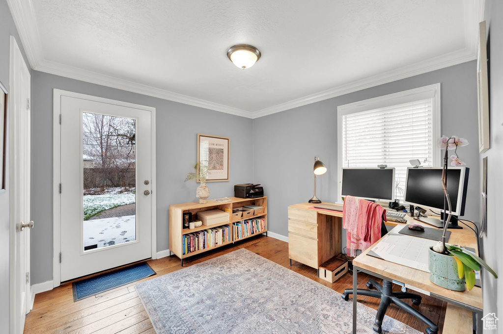 Office space with hardwood / wood-style floors, crown molding, and baseboards