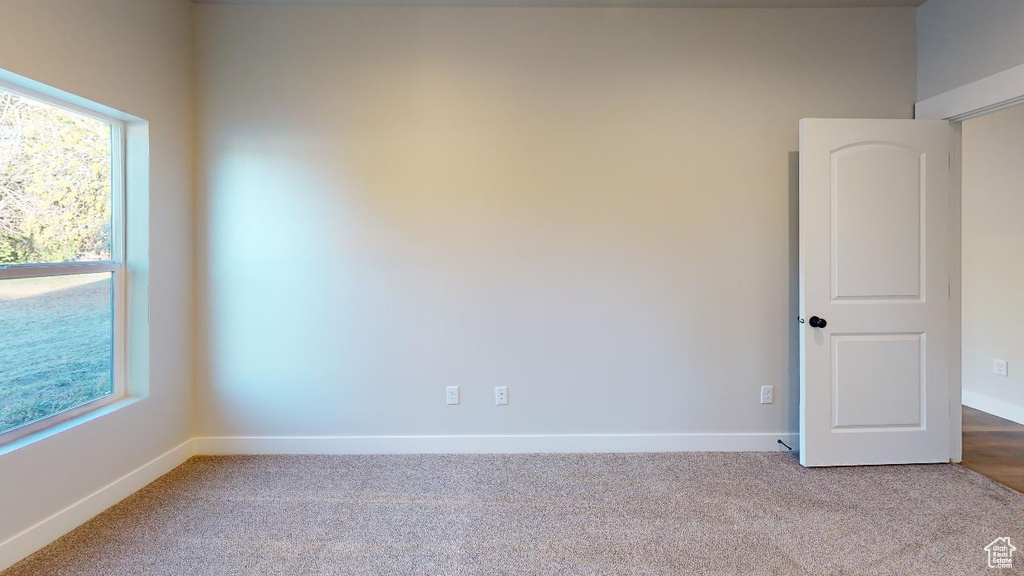Empty room featuring carpet floors, baseboards, and a healthy amount of sunlight