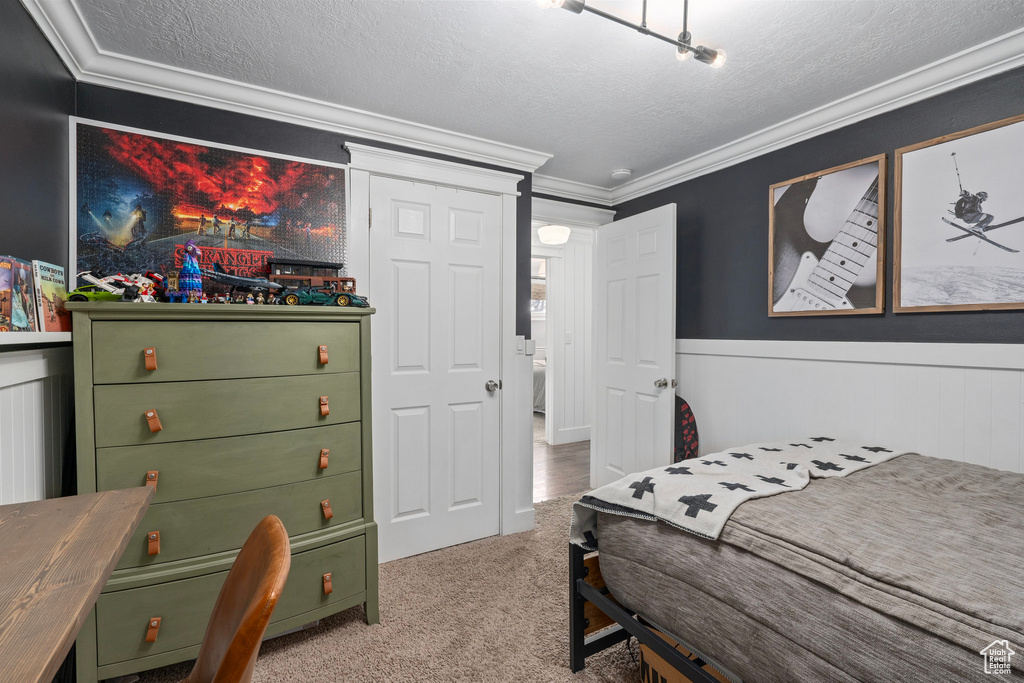 Bedroom featuring a wainscoted wall, crown molding, carpet flooring, and a textured ceiling